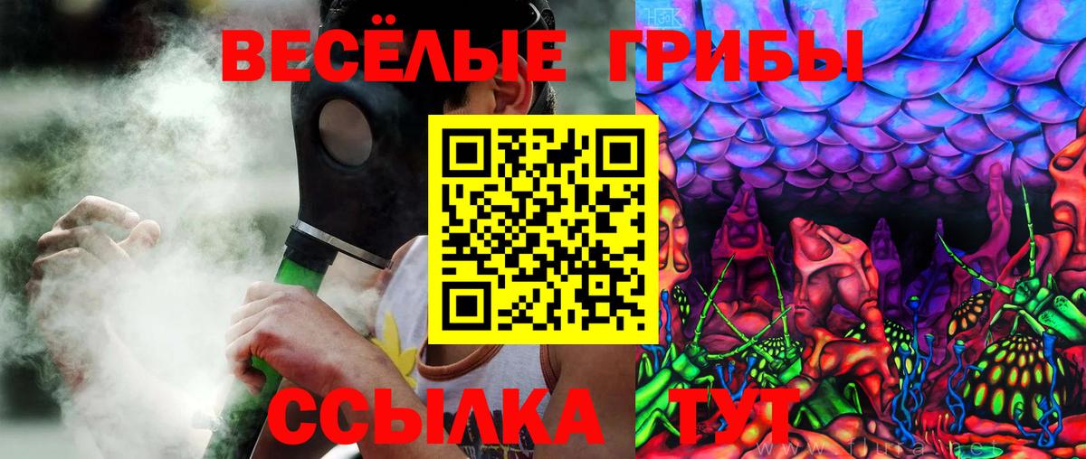 Псилоцибиновые грибы мицелий Россошь
