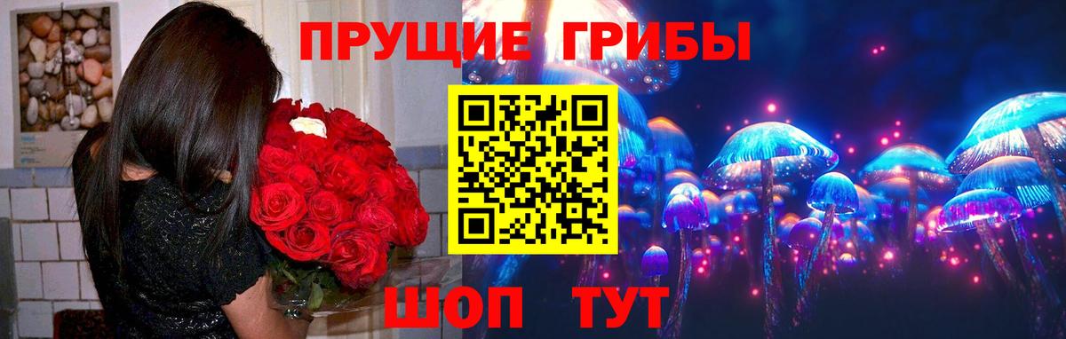 Псилоцибиновые грибы Psilocybine cubensis  Вход с VPN  закладки  Россошь  Галлюциногенные грибы мухоморы 